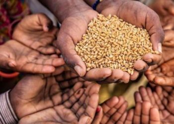 Экспорт хаоса: Устенко об угрозе продовольственных бунтов в Магрибе для Европы