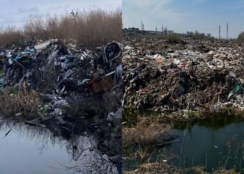 Сміттєвий скандал на Київщині: перевищення кишкової палички у тисячу разів