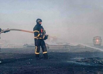 Київщина палає: вогонь вже знищив сотні гектарів екосистем