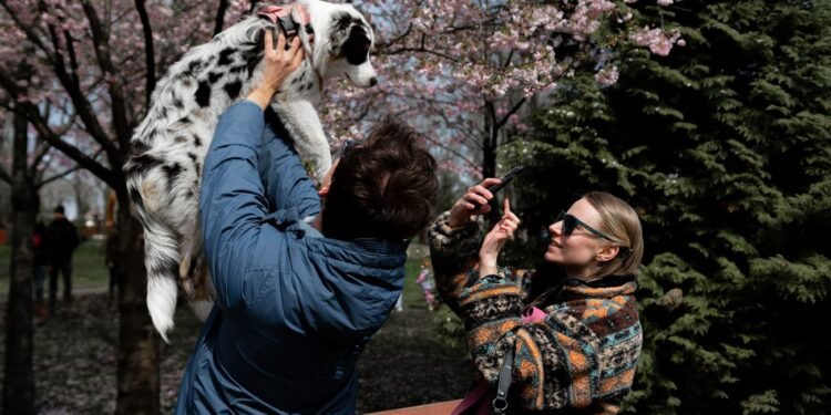 Погода существенно не изменится, но немного потеплеет: прогноз в Украине на неделю (карты)