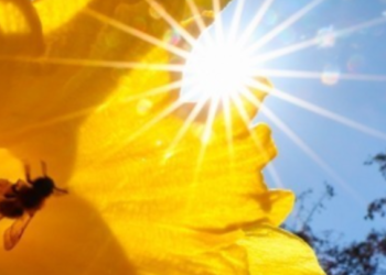 Небезпека для клімату: в Києві виявили рідкісне метеорологічне явище