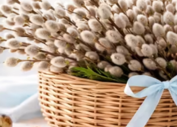 Вербна неділя в Києві й на Київщині: як триває святкування, — ВІДЕО