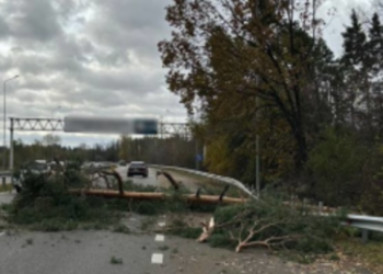 Метеорологічна небезпека на вулицях Києва: КМДА звернулась до громадян