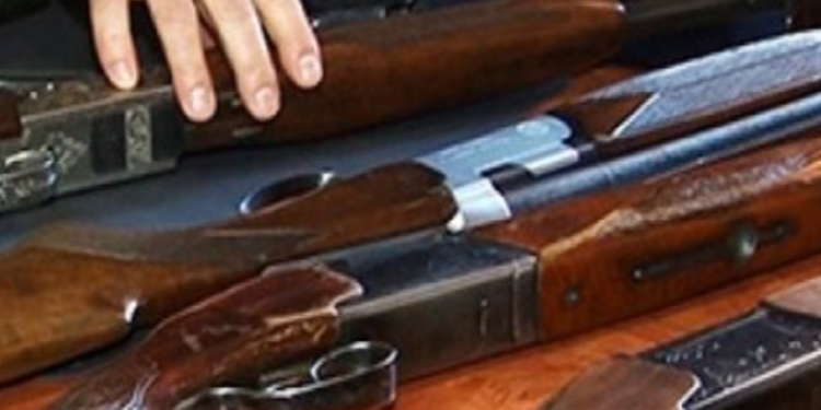 Масові перевірки зброї в Києві: що варто знати власникам