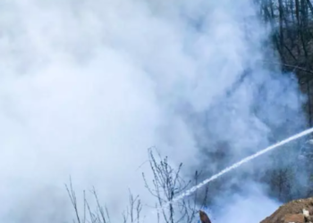 Димова загроза для Київщини: що горіло, – ФОТО