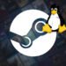 Linux установил исторический рекорд в Steam и обошел macOS благодаря успеху Steam Deck