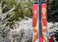 Испугались ударов: россияне отменили парад 9 мая в Крыму