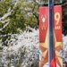 Испугались ударов: россияне отменили парад 9 мая в Крыму