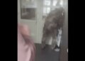 Никакого избиения не было — Хмельницкий ТЦК ответил на обвинения. ВИДЕО