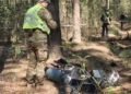 Ліс біля столиці перетворився на зону ризику: що виявили під Києвом, – ФОТО, ВІДЕО