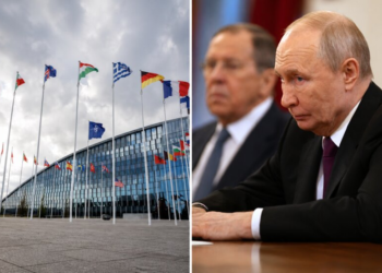 Politico: Европа боится, что Путин видит окно для атаки на НАТО