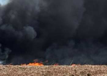 Токсичні хмари і сморід: на Київщині виникла надзвичайна ситуація, – ФОТО